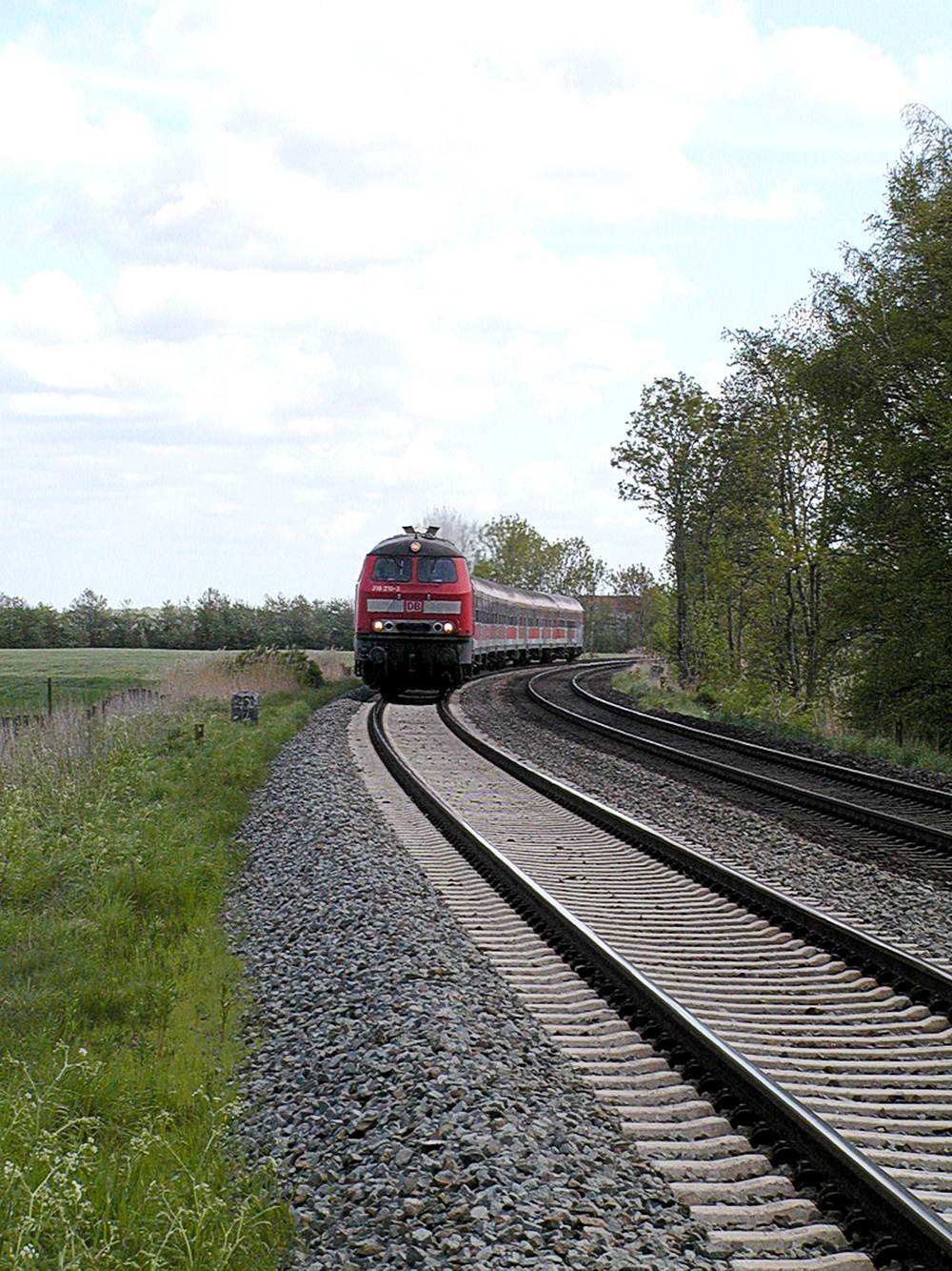 Rote Diesellokomotive mit rotem Regionalzug in einer Gleiskurve, flache grüne Landschaft mit Baumreihe am Streckenrand