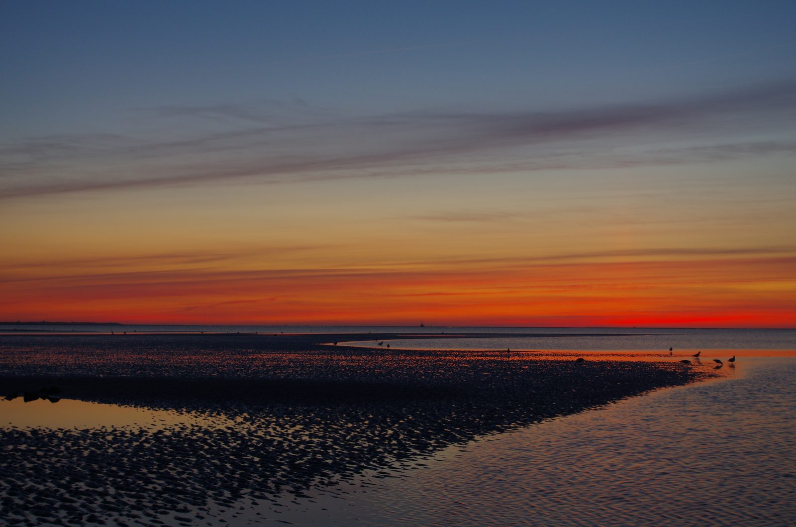 Wide, wet mudflats exposed at low tide in evening light, a red-orange sunset on the horizon, a few birds visible on a distant sandbank.