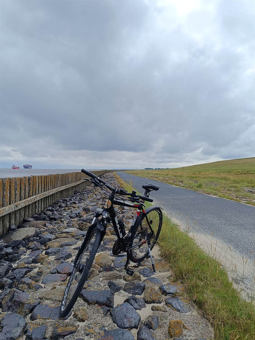 Fahrrad an einer Steinpackung am Elbdeich abgestellt, im Hintergrund zwei Frachtschiffe auf der Elbe, rechts der asphaltierte Radweg am Deichfuß, bewölkter Himmel