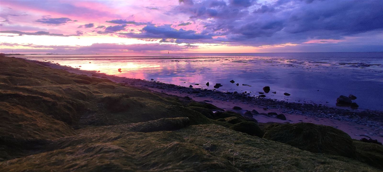 Violett-magentafarbener Sonnenuntergang über dem Watt, Steine im Spiegelwasser Otterndorf