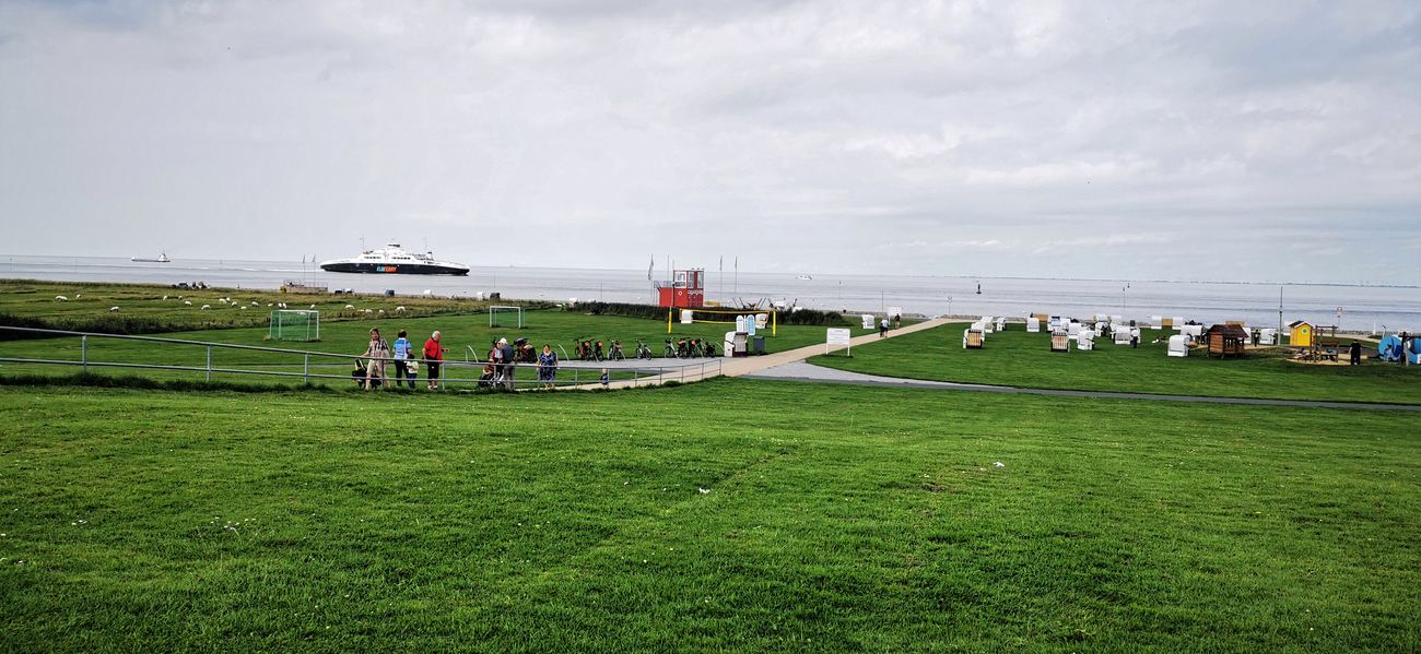 Wide lawn by the water with a path, people standing at a railing with bicycles parked behind them, white beach chairs on the grass on the right, a large ship with light-coloured superstructure out on the water on the left, cloudy sky