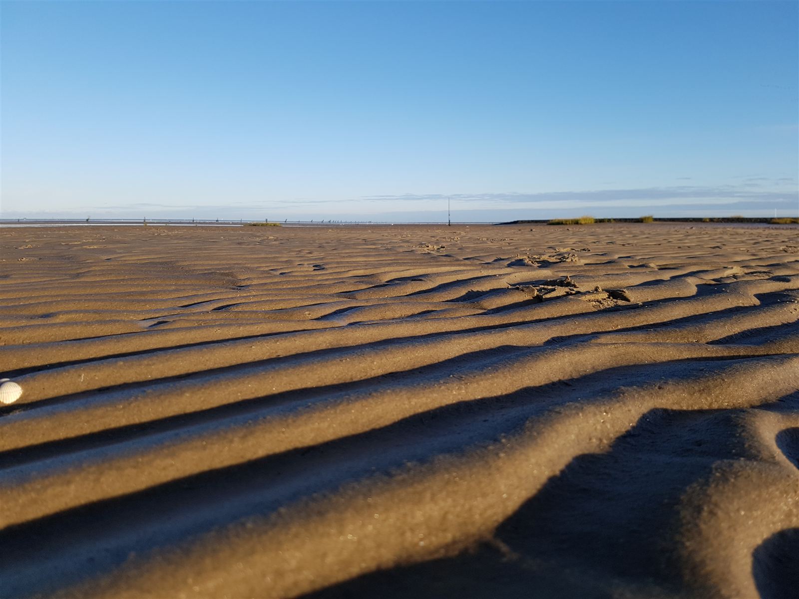 Wattenmeer bei Ebbe in Otterndorf – weite Sandlandschaft im Morgenlicht
